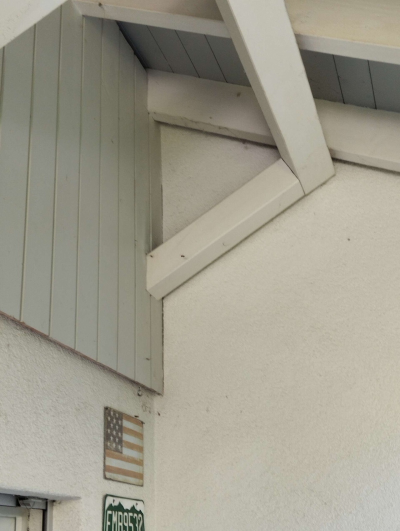 Unter dem hellen Dachbereich in Arisdorf deutet ein geschuetzter Winkel auf ein moegliches Wespennest hin, das den Einsatz eines Kammerjaegers erforderlich macht.
