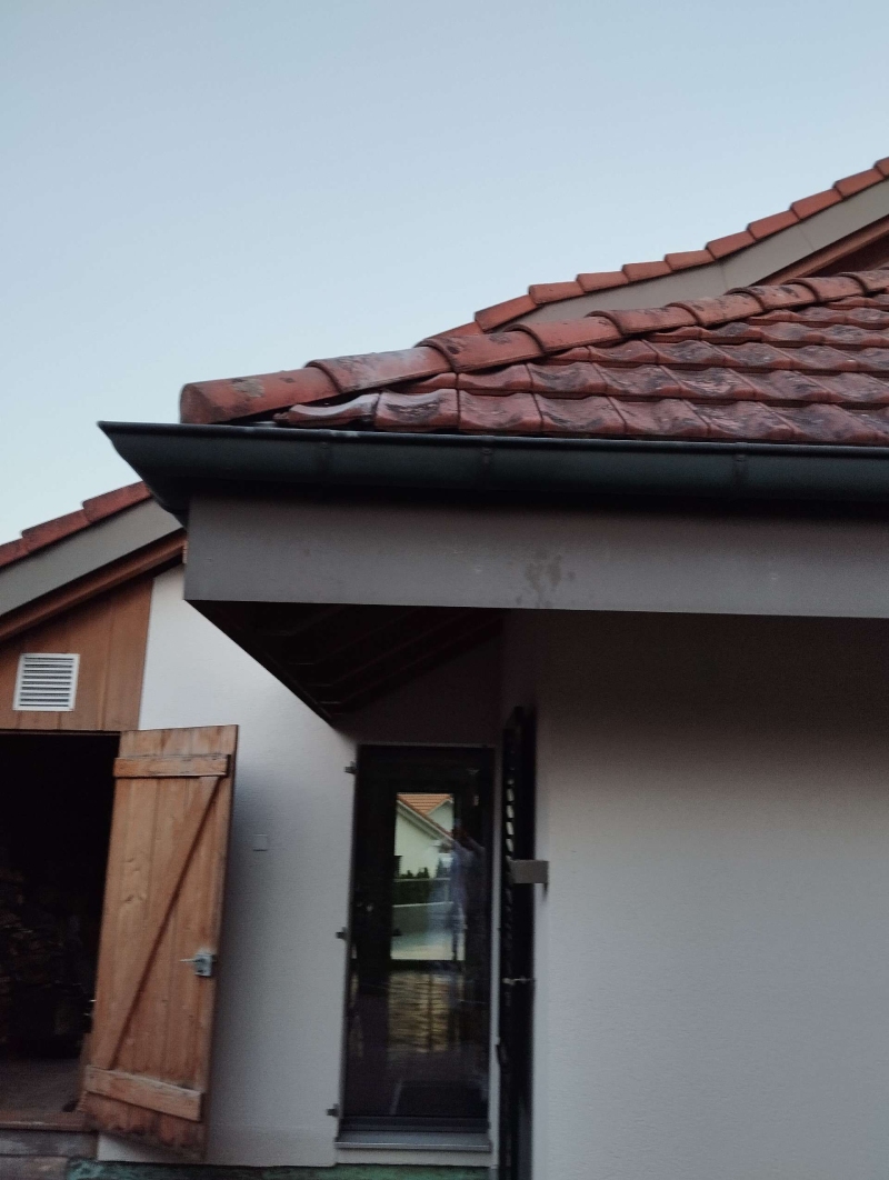Unter dem Dachvorsprung eines Hauses in Arlesheim liegt der vermutete Zugang zu einem versteckten Hornissennest, was den Einsatz eines Kammerjaegers in Arlesheim notwendig macht.