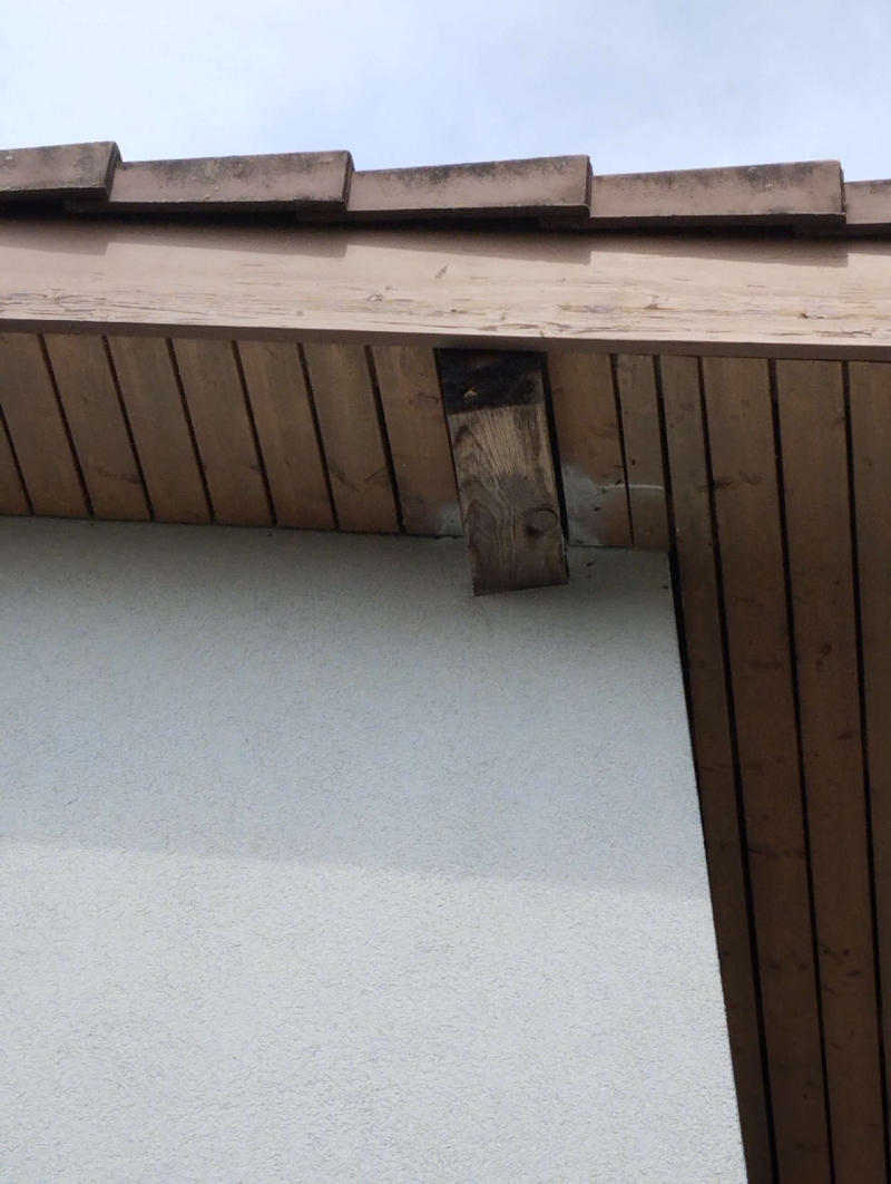 Unter dem Dachvorsprung in Biel-Benken haengt ein Wespennest, dessen sichere Beseitigung den Einsatz eines Kammerjaegers erforderlich macht.