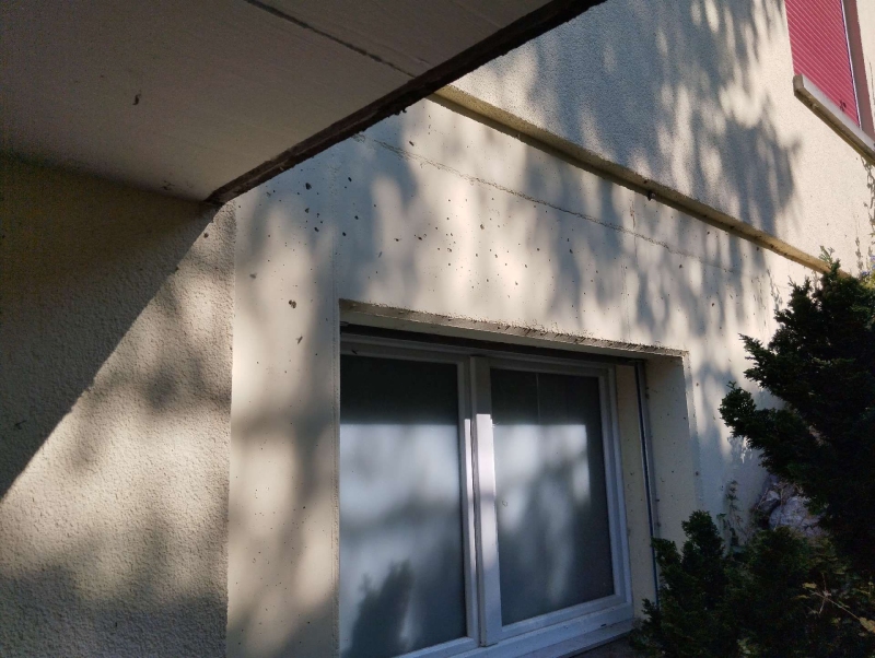 Zwischen Schatten und Fassadenstruktur in Birsfelden deutet der Befall nahe dem Fenster auf ein verborgenes Wespennest hin, was den Einsatz eines Kammerjaegers notwendig macht.