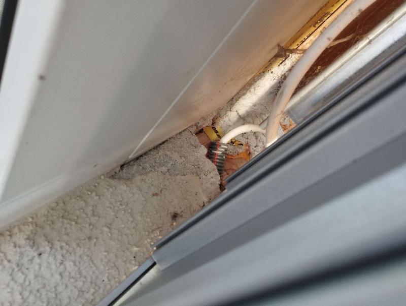 Zwischen engen Bauteilen in Boeckten liegt ein kleines Wespennest versteckt im Spalt, was auf einen Kammerjaeger hinweist.