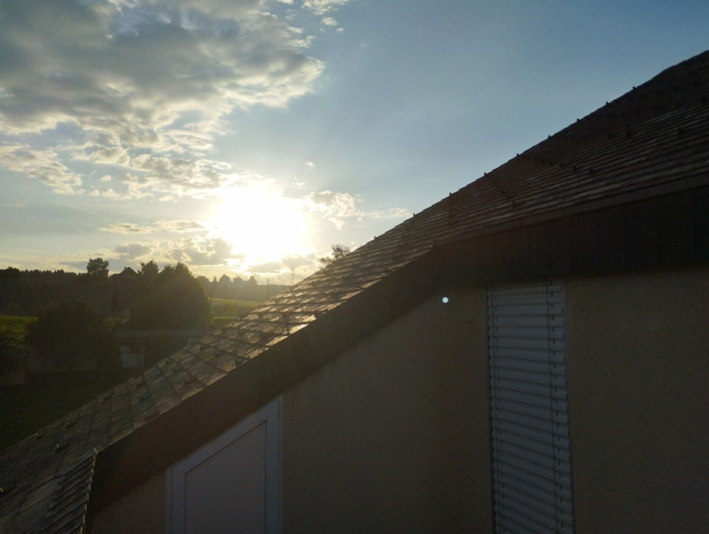 Durch das Abendlicht ueber Bottmingen wirkt das Dach ruhig, waehrend ein verborgenes Wespennest einen Einsatz des Kammerjaegers nahelegt.