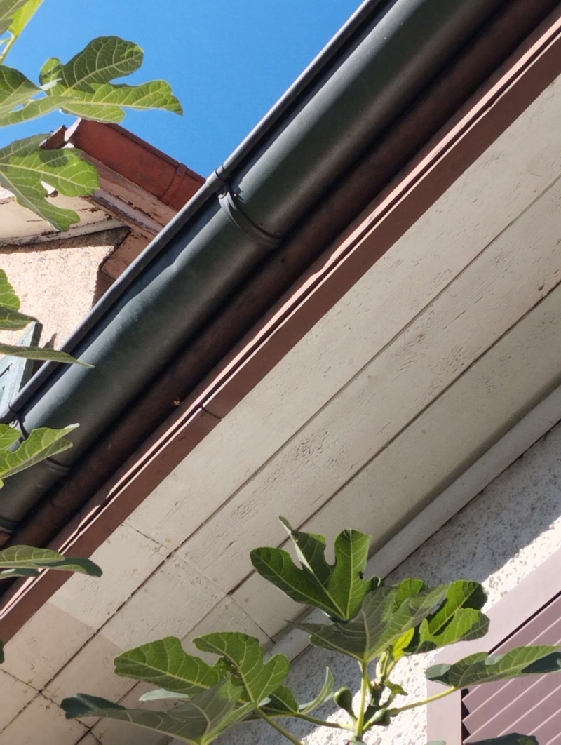 Am Dachrand eines Hauses in Bretzwil haengt ein kleines Wespennest nahe der Dachrinne, was den Einsatz eines Kammerjaegers sinnvoll erscheinen laesst.
