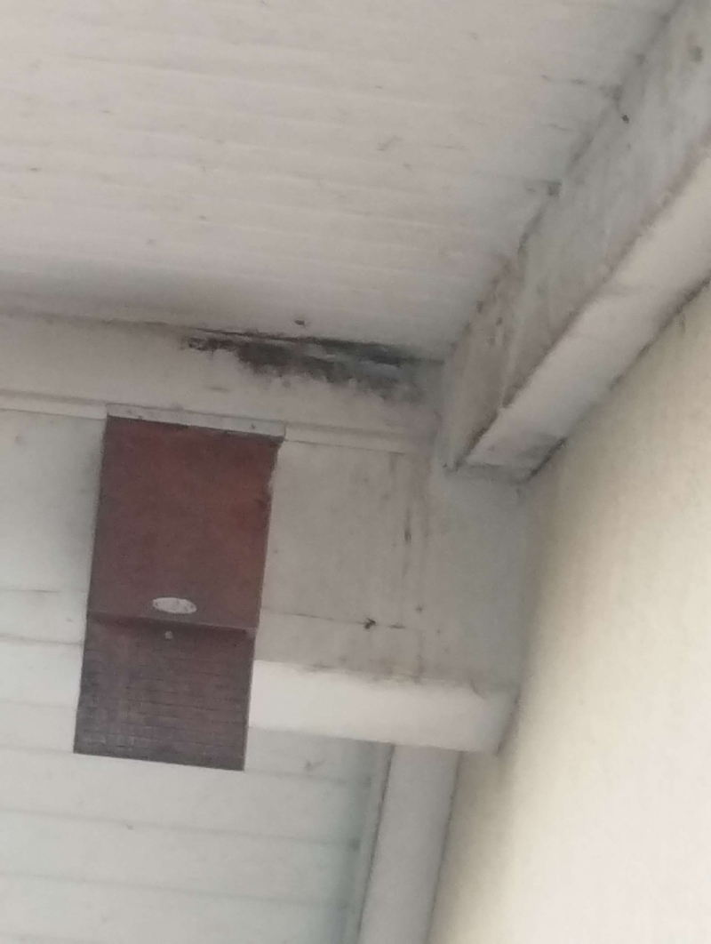 Nahe dem Deckenbalken in Burg im Leimental deutet eine dunkle Ansammlung auf ein frueheres Hornissennest hin, das gegebenenfalls den Einsatz eines Kammerjaeger erfordert.