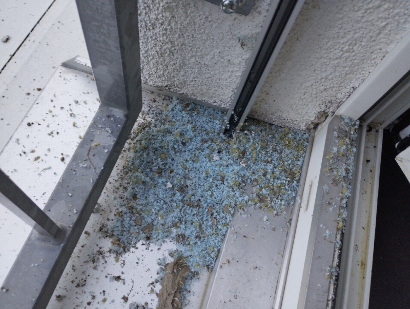 Auf dem Boden einer Fassadenecke in Giebenach liegen zerfallene Reste eines Hornissennests verstreut, was den Einsatz eines Kammerjaegers erforderlich macht.