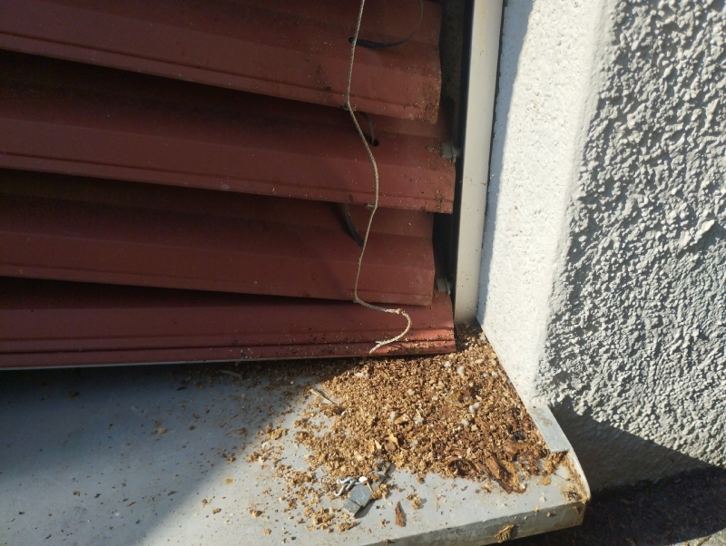 Zwischen Lamellen und Fensterlaibung in Hersberg liegt zerbroeseltes Material eines Wespennests, dessen sichere Beseitigung ein Kammerjaeger uebernehmen sollte.