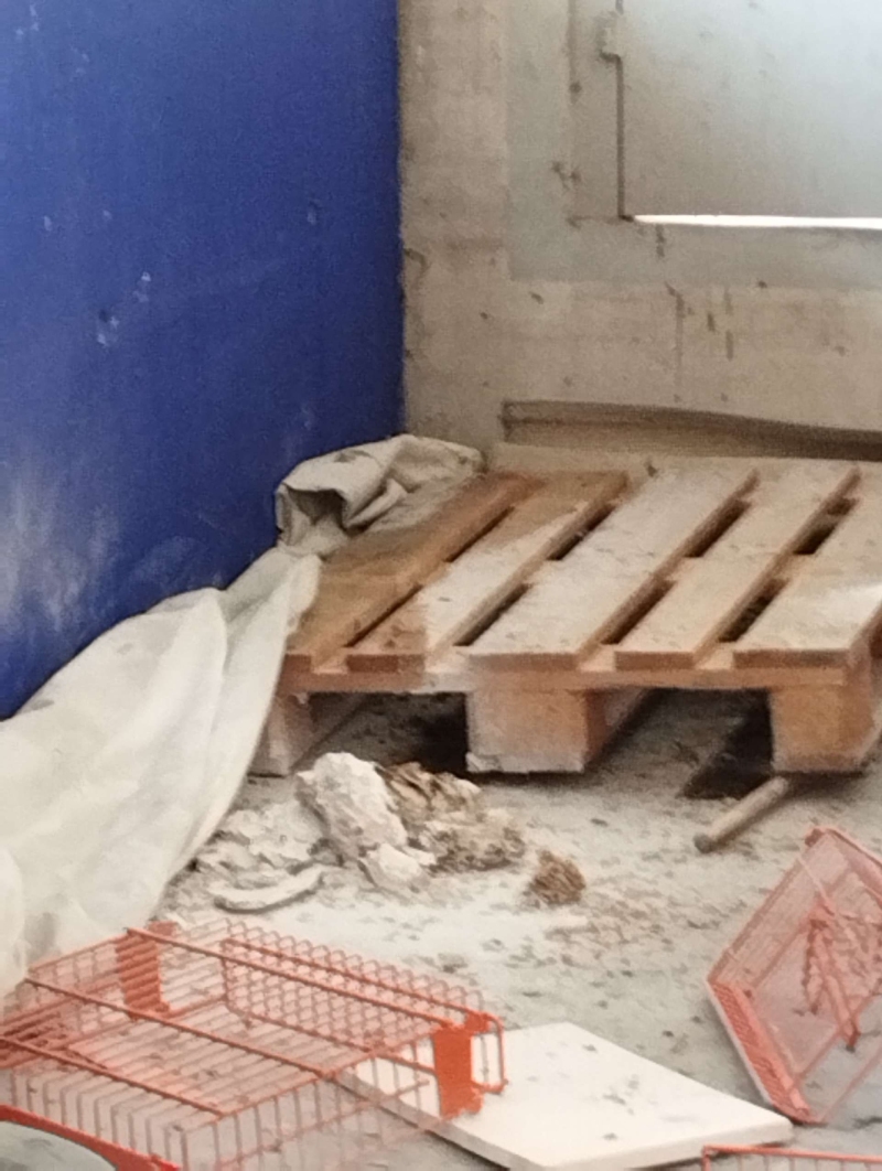 Neben einer Holzpalette liegt in Lampenberg ein kleines Wespennest auf staubigem Boden, was einen Kammerjaeger erfordern koennte.