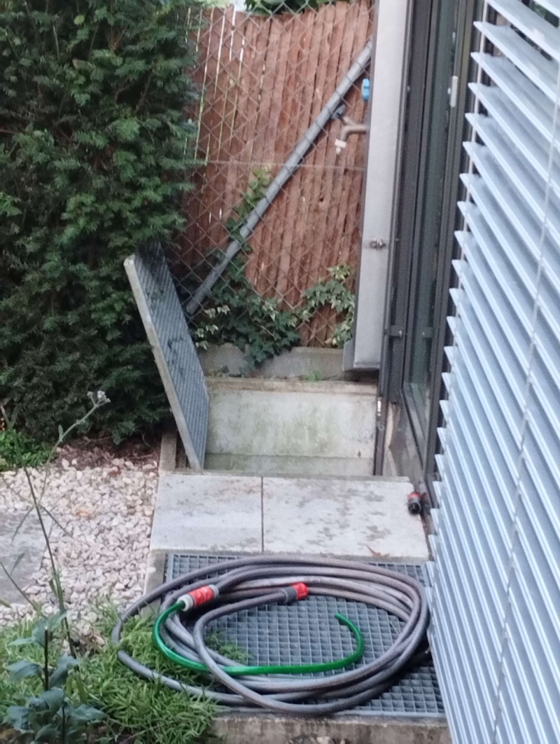Nahe einem Kellerschacht in Laufen deutet ein verstecktes Hornissennest auf moeglichen Befall hin, was den Einsatz eines Kammerjaeger erforderlich machen kann.