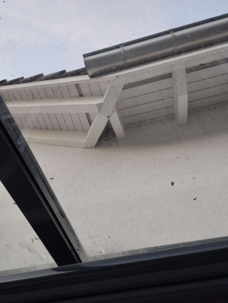 Nahe dem Dachvorsprung in Lausen haengt ein Wespennest, dessen geschuetzte Lage einen Einsatz des Kammerjaegers erfordern koennte.