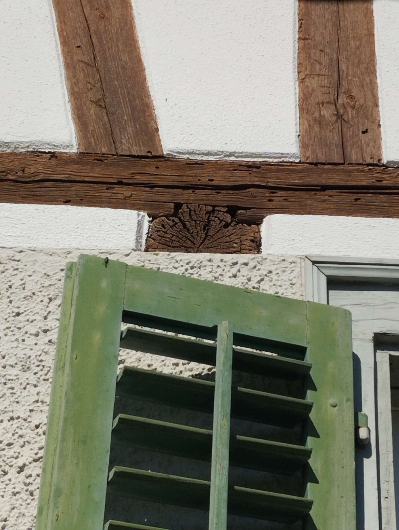 Unter dem verwitterten Fachwerk eines Hauses in Lupsingen sitzt ein verborgenes Hornissennest, das den Bedarf nach einem Kammerjaeger deutlich macht.