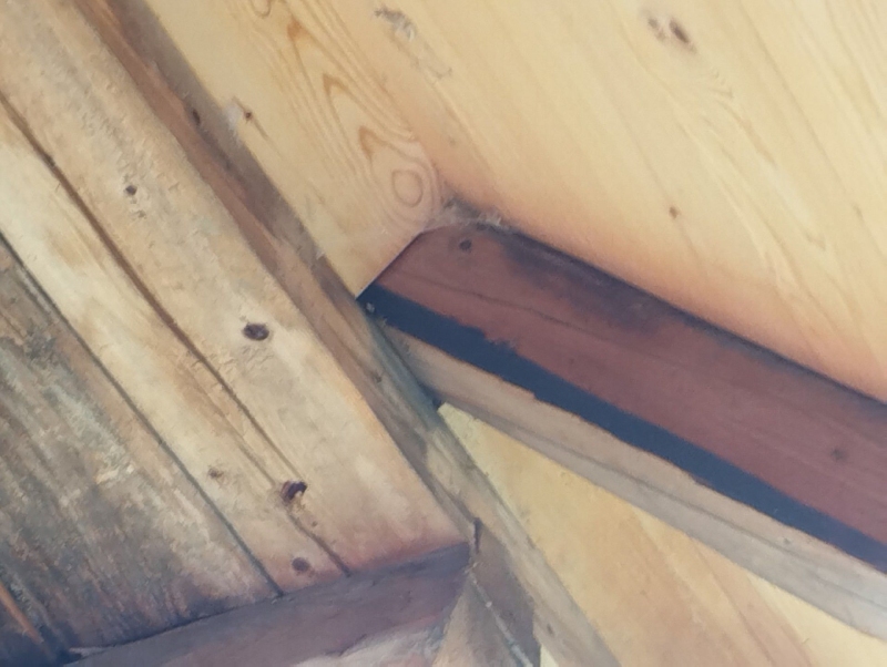 Zwischen den alten Holzbalken in Nenzlingen sitzt ein kleines Wespennest, dessen sichere Entfernung einen erfahrenen Kammerjaeger erforderlich macht.