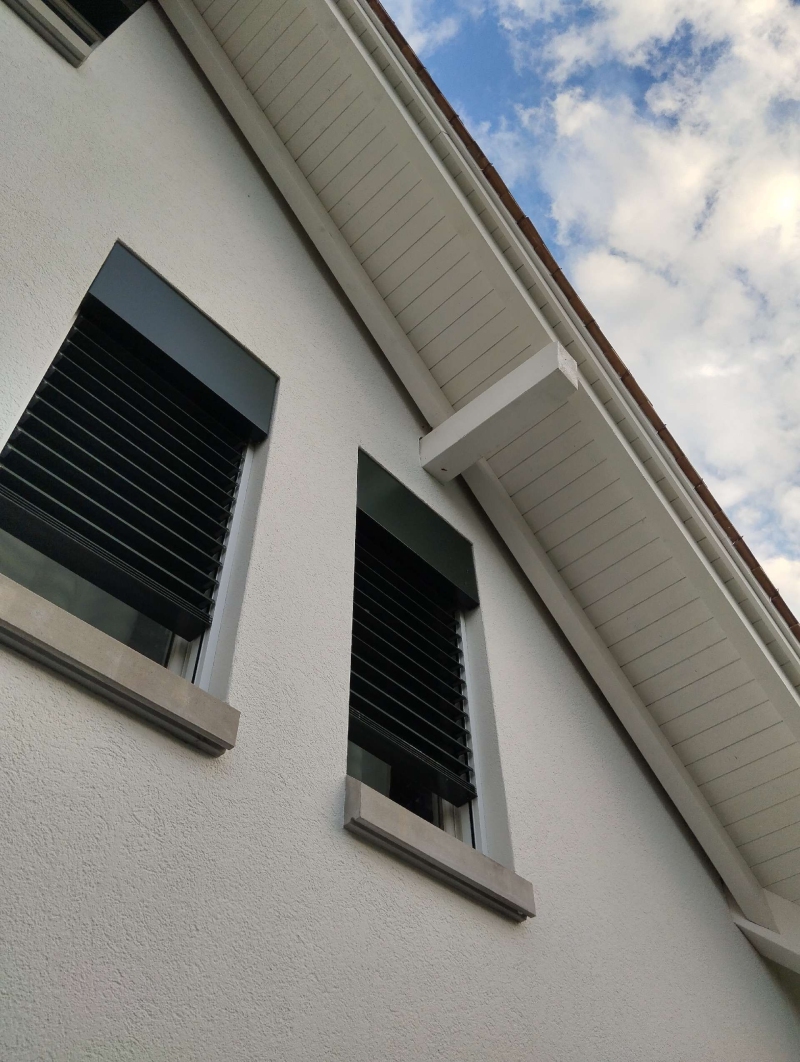 Unter dem Dach eines hellen Hauses in Niederdorf waere bei einem vermuteten Wespennest ein Kammerjaeger sinnvoll, obwohl von unten keine deutliche Struktur erkennbar ist.