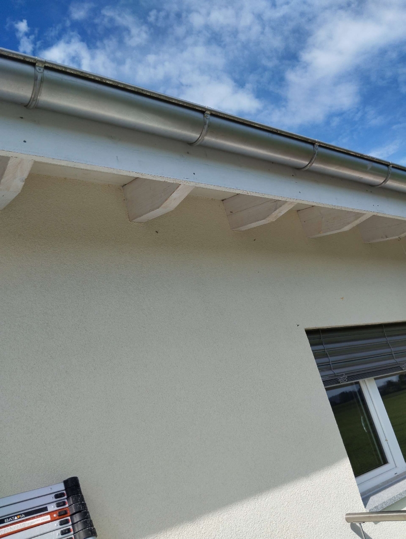 Nah an der Dachrinne eines Hauses in Nusshof deutet ein kleiner Punkt auf ein moegliches Wespennest hin, das den Einsatz eines Kammerjaegers notwendig macht.
