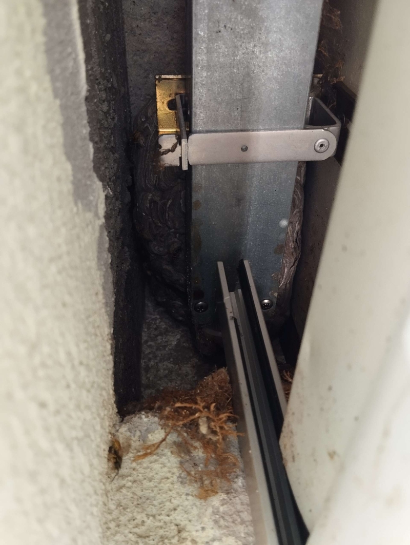 Hinter einer Metallhalterung in Oberdorf sitzt ein dicht gebautes Hornissennest im engen Spalt, was den Einsatz eines Kammerjaegers fuer eine gefahrlose Entfernung notwendig macht.
