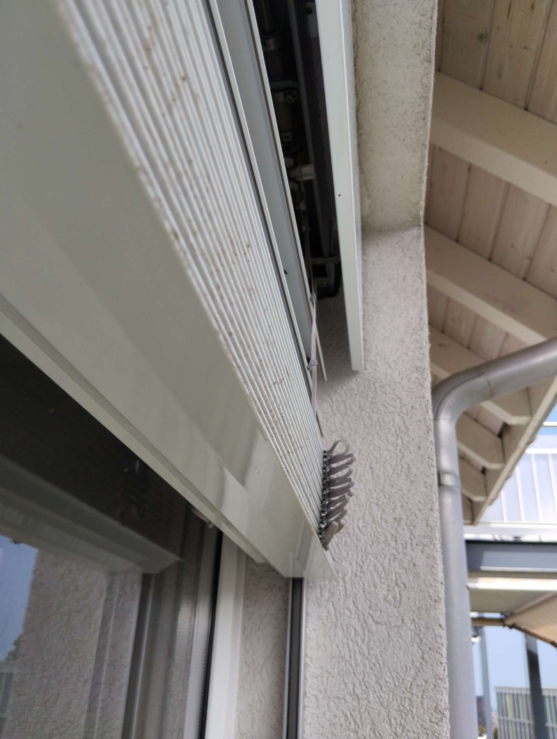An der Fensterleiste in Oberwil haengt ein kleines Hornissennest geschuetzt unter dem Vorsprung, wodurch ein Kammerjaeger zur sicheren Entfernung noetig werden kann.