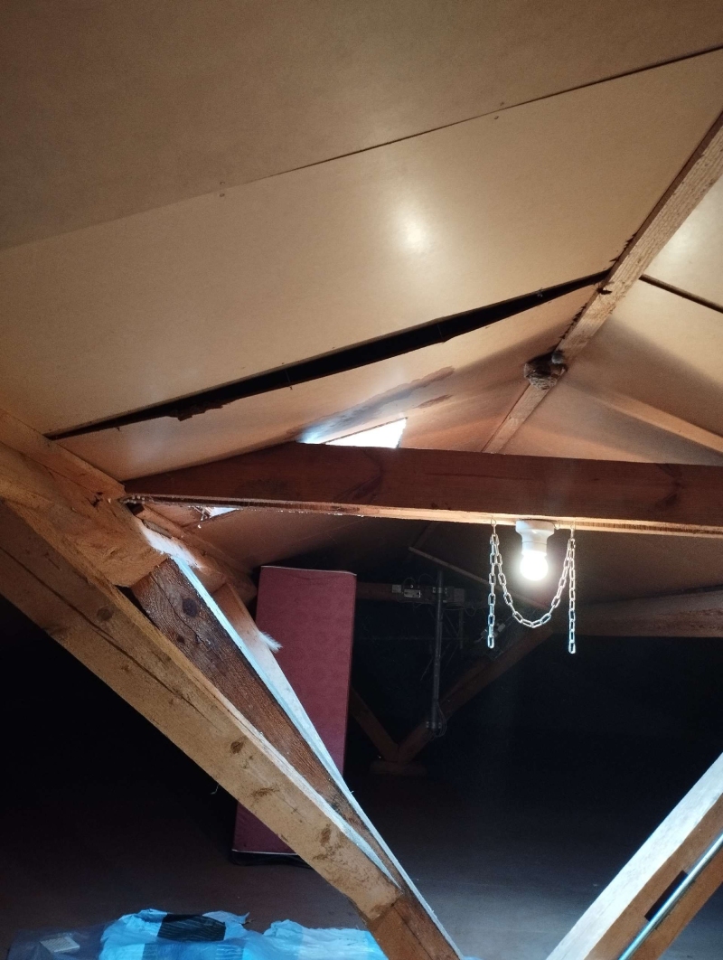 Im Dachstuhl von Ormalingen sitzt ein kleines Hornissennest an einem Holztraeger und laesst einen moeglichen Einsatz des Kammerjaeger vermuten.