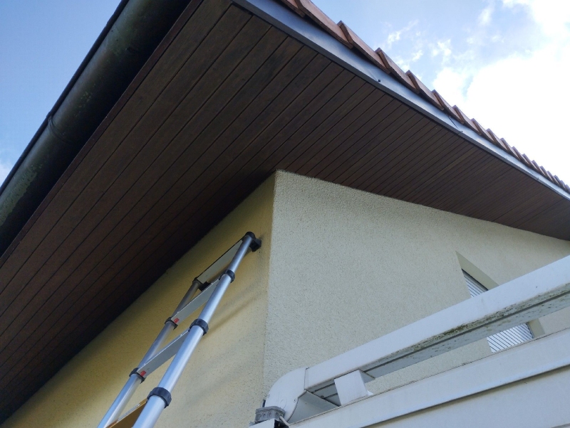 In Pfeffingen lehnt eine Leiter an der hellen Hauswand unter dem dunklen Dachvorsprung, wo ein Kammerjaeger wegen eines vermuteten Wespennests taetig werden koennte.
