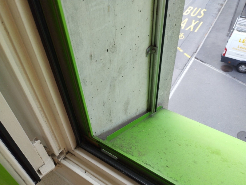 Am Fensterrahmen in Pratteln liegt ein kleines Hornissennest in einer schmalen Ecke, was einen Kammerjaeger auf den versteckten Fund aufmerksam macht.