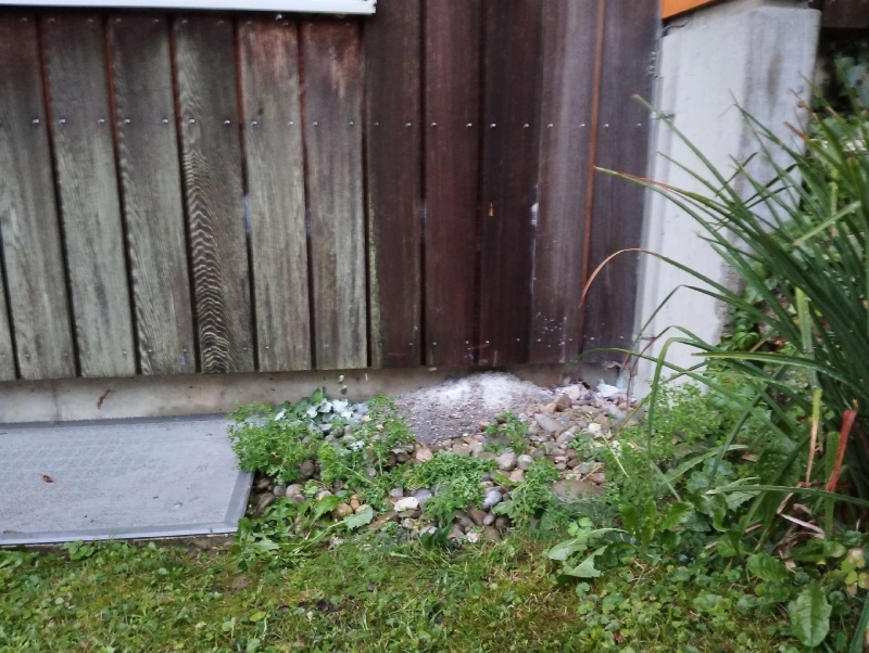 Nahe einer Holzfassade in Ramlinsburg liegt weisses Material am Boden, was auf ein verborgenes Wespennest hindeutet und den Einsatz eines Kammerjaeger im ORT notwendig machen kann.