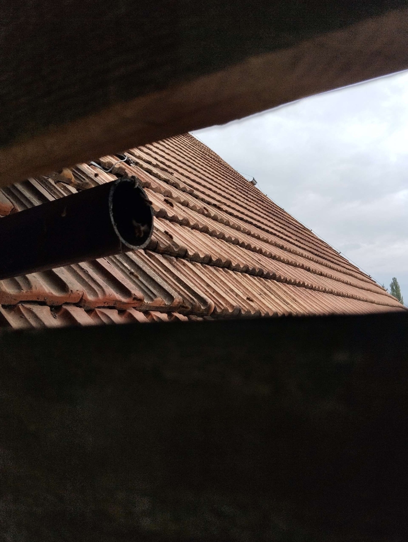 Durch eine oeffnung im Dach wirkt in Rickenbach das Rohr mit einem versteckten Wespennest auffaellig und laesst den Einsatz eines Kammerjaegers notwendig erscheinen.
