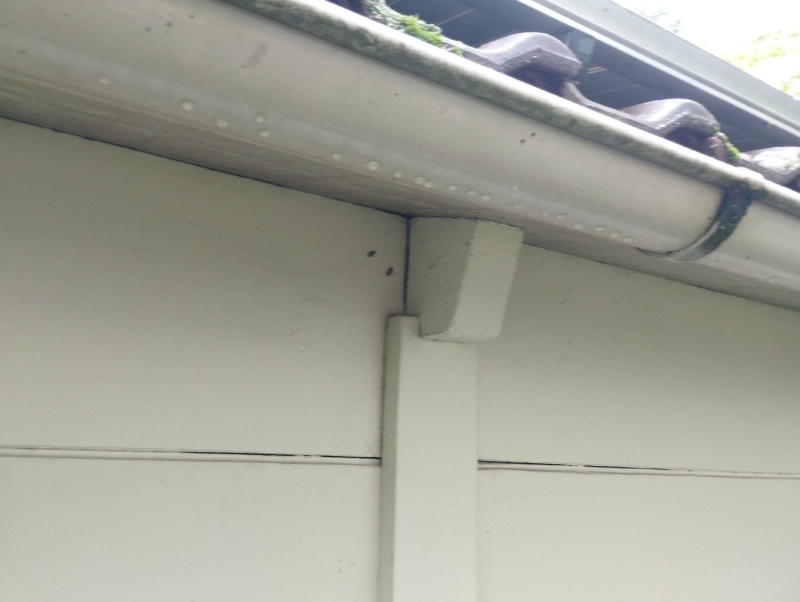 Unter der Dachrinne eines Hauses in Roggenburg deutet eine geschuetzte Ecke auf ein moegliches Hornissennest hin, das einen Kammerjaeger erforderlich macht.