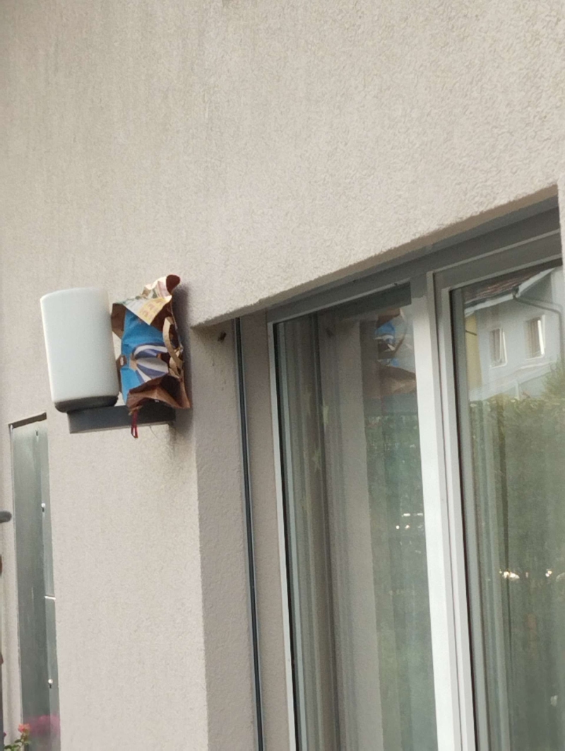 In Roeschenz haengt ein Hornissennest in einer Tuete neben einer Aussenlampe und macht den Einsatz eines Kammerjaeger notwendig.