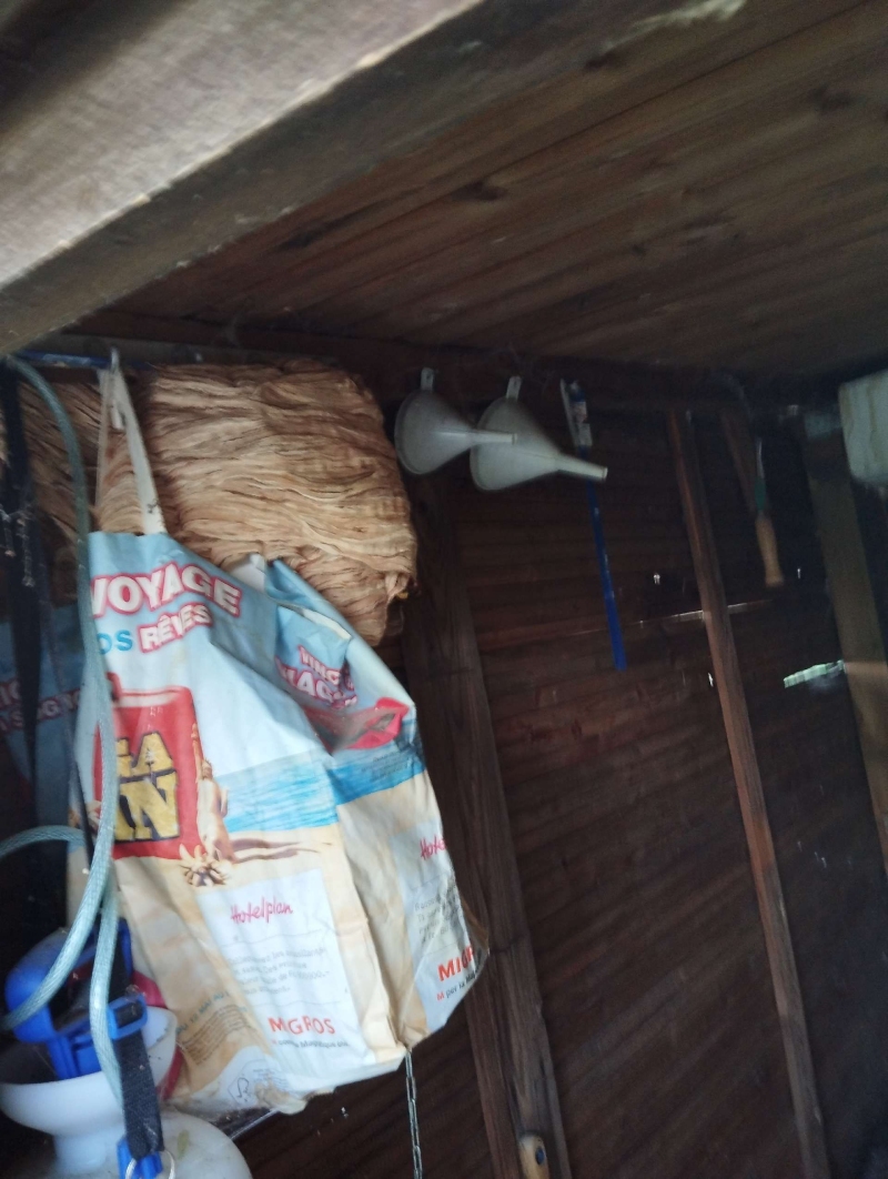 Neben gelagerten Saecken haengt in Ruemlingen ein grosses Wespennest im Holzschuppen, was einen Kammerjaeger auf den versteckten Befall aufmerksam macht.