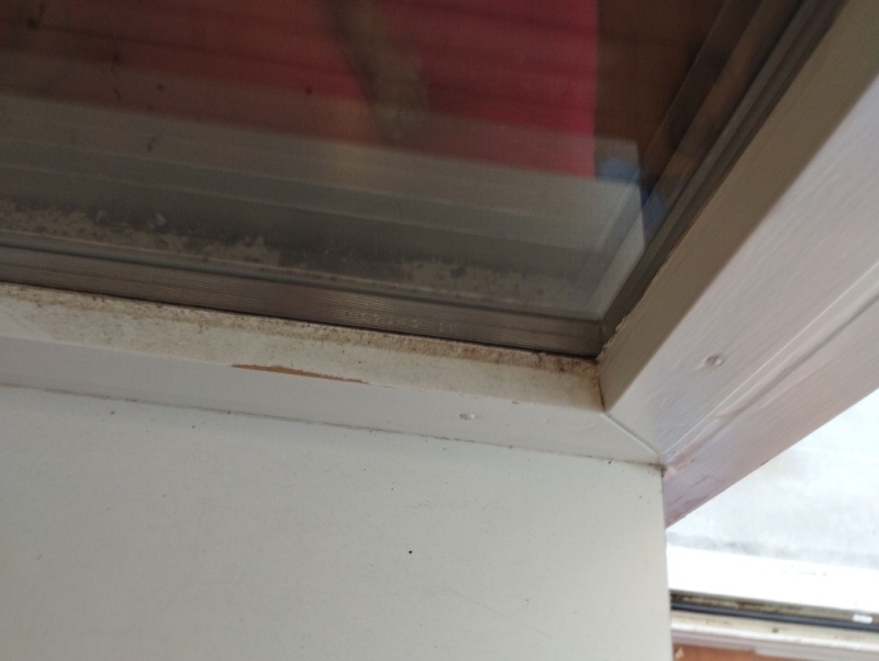 Ein schmaler Spalt am Fensterrahmen in Schoenenbuch zeigt leichte Spuren eines kleinen Wespennests, was auf einen noetigen Einsatz des Kammerjaeger hinweist.