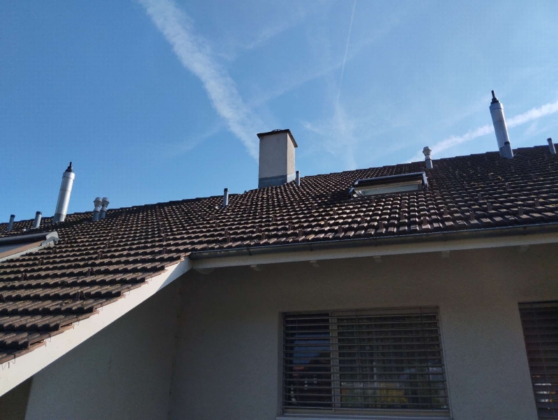Auf dem Ziegeldach eines Hauses in Schoenenbuch koennte ein verborgenes Hornissennest auf einen noetigen Einsatz des Kammerjaeger hinweisen.
