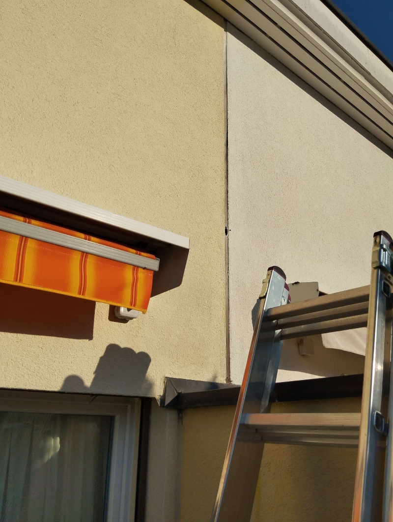 Ein Hornissennest wurde in Sissach nahe einem Fensterrahmen entdeckt. Es könnte notwendig sein, einen Kammerjäger zu rufen, um das Nest sicher zu entfernen.