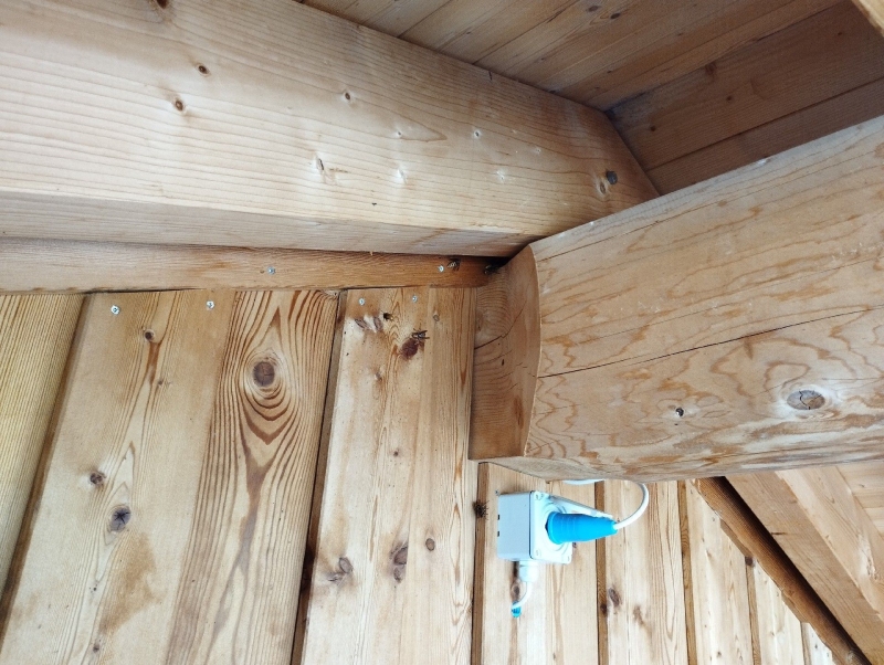 In Therwil ist ein Hornissennest an einer Holzwand sichtbar. Ein Kammerjäger könnte hier eingreifen, um das Nest sicher zu entfernen und weitere Schäden zu vermeiden.
