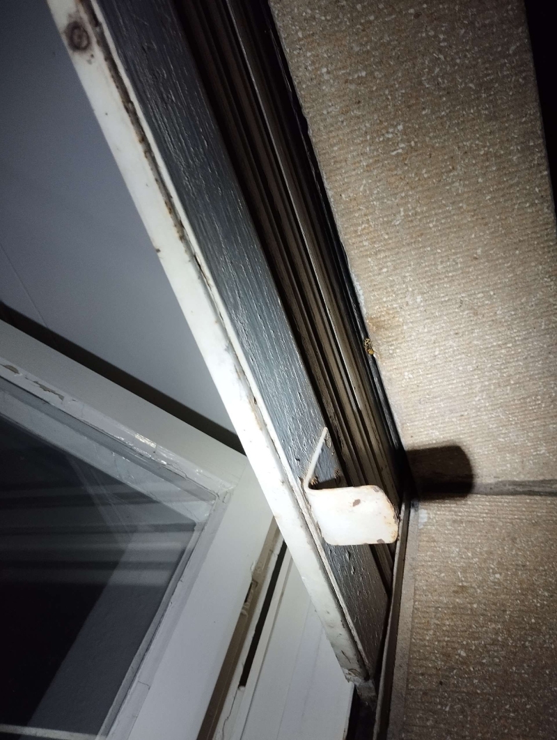 In Thürnen wurde ein Wespennest an einem Fensterrahmen entdeckt, das potenziell eine Gefahr darstellen kann. Ein Kammerjäger sollte das Nest professionell entfernen.