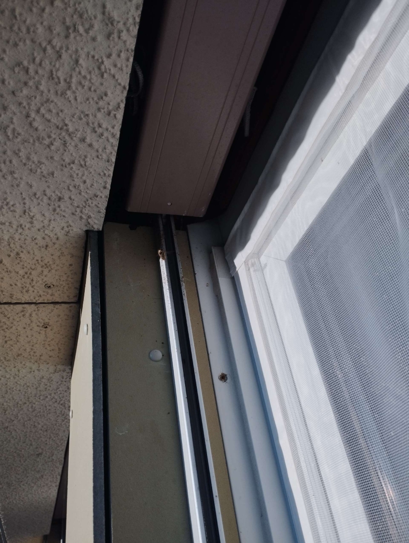 In Thürnen befindet sich ein Hornissennest an einem Fensterrahmen, das potenziell gefährlich ist. Ein Kammerjäger sollte das Nest fachgerecht entfernen.