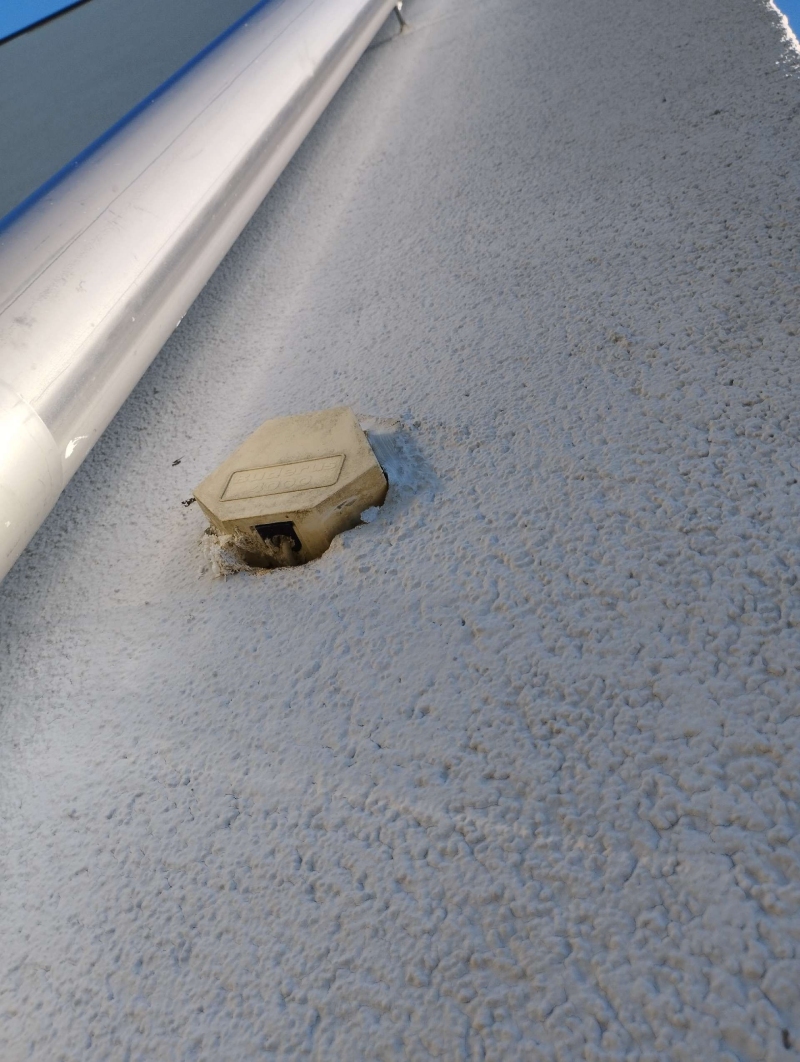 Ein Hornissennest befindet sich an der Wand in Wittinsburg. Es wird empfohlen, einen Kammerjäger zu Rate zu ziehen, um das Nest sicher zu entfernen.