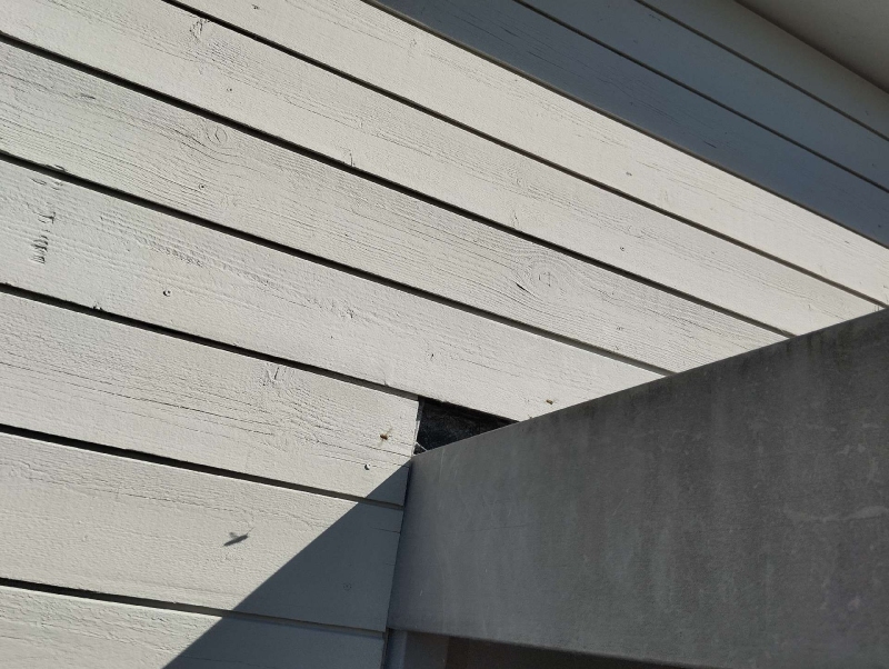In Zeglingen wurde ein Wespennest an der Wand eines Gebäudes gefunden. Kammerjäger sollten hinzugezogen werden, um das Nest sicher zu entfernen.