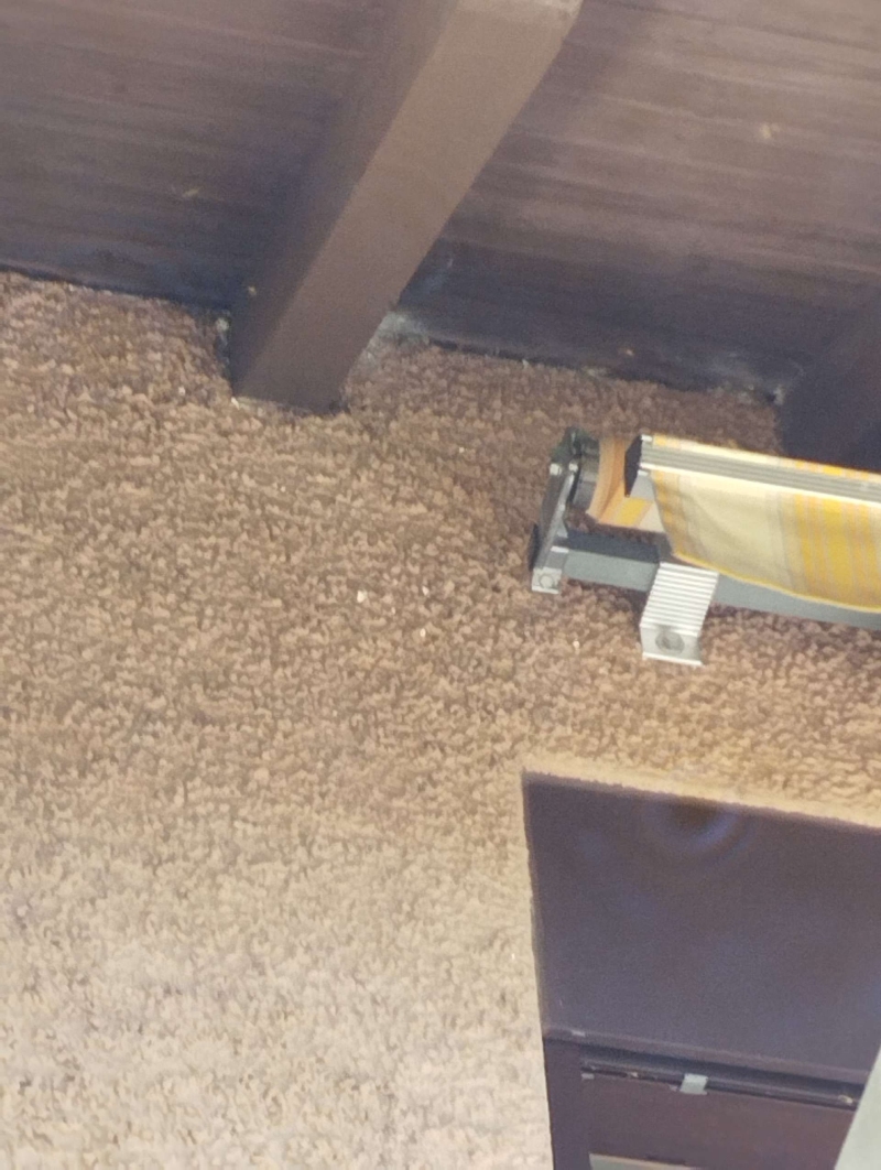 Ein Wespennest ist in der Ecke unter einem Balken in Ziefen sichtbar. Ein Kammerjäger könnte hier Unterstützung bieten, um das Nest sicher zu entfernen.