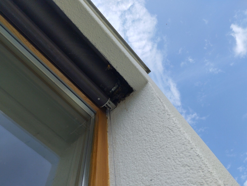 Ort: Zwingen. Ein Wespennest ist in der Ecke des Fensterrahmens sichtbar. In solchen Fällen kann ein Kammerjäger helfen, die Sicherheit zu gewährleisten.