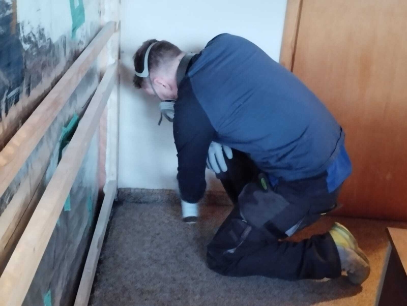 schaedlingsnotdienst gelterkinden bettwanzen kammerjaeger baselland schaedlinge melden liestal