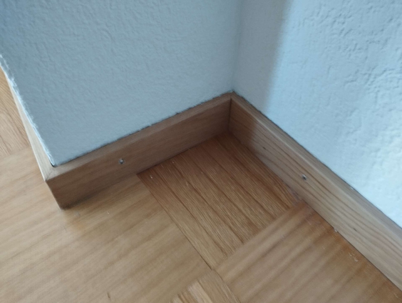 In Allschwil zeigt sich im Bodenwinkel eine Ansammlung von Ameisen, deren Beseitigung den fachkundigen Einsatz eines Kammerjaegers erfordert.