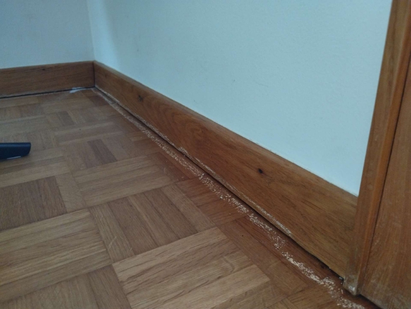 Entlang der Sockelleiste in Anwil zeigt sich feines Streugut als Hinweis auf Ameisen, was den Einsatz eines Kammerjaegers nahelegt und die ruhige Raumstruktur stoert.
