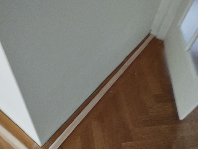 Entlang der Bodenleiste in Arisdorf lassen feine Spuren auf Ameisenbefall schliessen, was den Einsatz eines Kammerjaegers erforderlich macht.