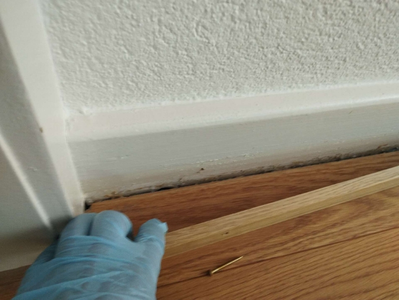 Nahe der Sockelleiste in Arlesheim wird eine schmale Spalte sichtbar, aus der Ameisen austreten koennten, weshalb ein Kammerjaeger in Arlesheim noetig sein kann.