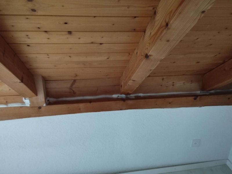 Entlang der Holzträgerdecke in Arlesheim koennte eine verdeckte Stelle als Ameisenweg dienen, wodurch ein Kammerjaeger in Arlesheim sinnvoll sein kann.