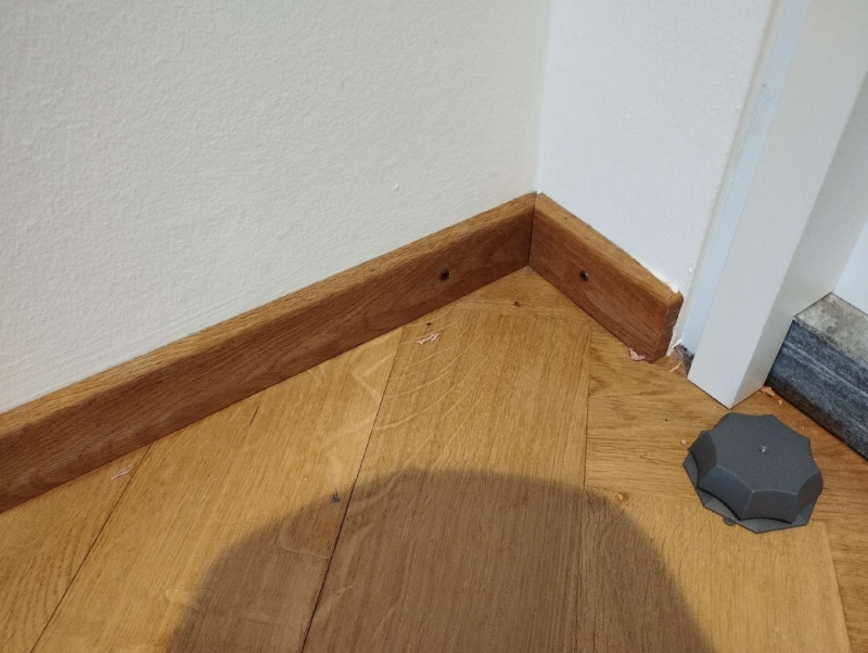 An einer Bodenecke in Augst weisen verstreute Spuren und eine Ameisenfalle auf aktiven Befall hin, der den Einsatz eines Kammerjaegers erforderlich macht.