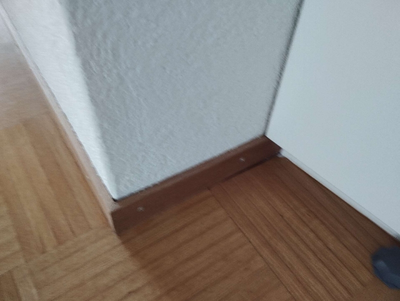 Entlang der Bodenleiste in Bennwil weist eine kleine Spalte auf moegliche Ameisenaktivitaet hin, wodurch der Einsatz eines Kammerjaegers sinnvoll erscheint.