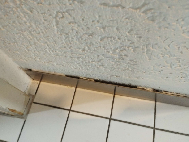 An der Fuge zwischen Wand und Fliesen in Binningen weisen dunkle Spuren auf eine Ameisenaktivitaet hin, die einen Kammerjaeger erforderlich machen kann.