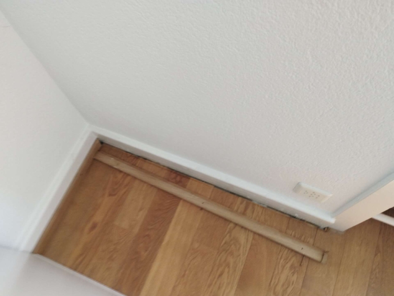 Entlang der Bodenleisten in Birsfelden deuten kleine Spalten auf moegliche Ameisenwege hin, weshalb ein Kammerjaeger zur Untersuchung sinnvoll ist.