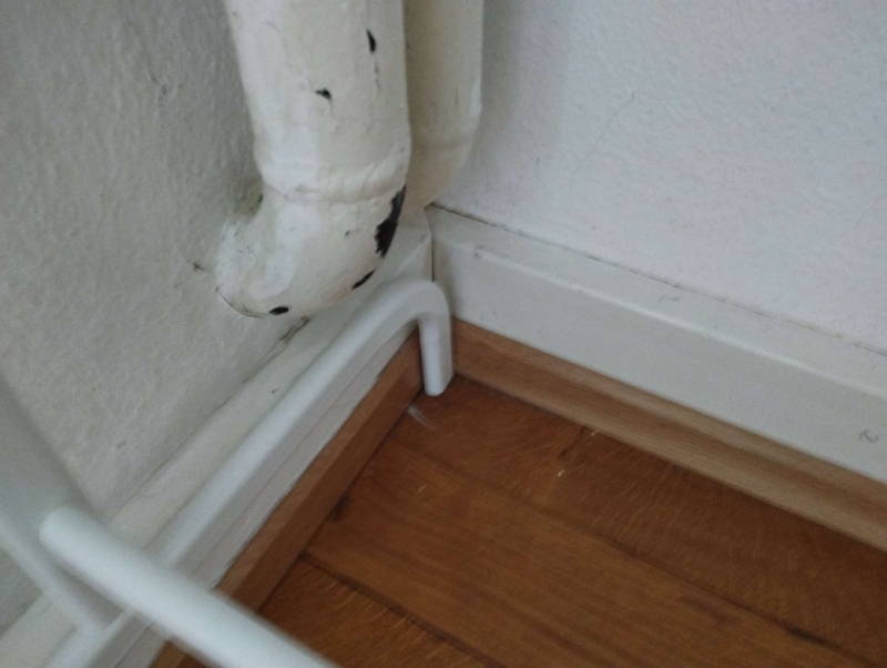 In Boeckten weisen sichtbare Ameisenbewegungen entlang einer Wand auf einen moeglichen Befall hin, der den Einsatz eines Kammerjaegers notwendig macht.