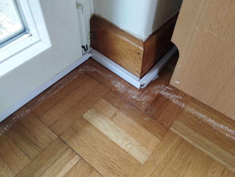 Auf dem Parkett in Bottmingen markieren helle Spuren einen Ameisenweg, was auf einen Befall hinweist und den Einsatz eines Kammerjaegers notwendig machen kann.
