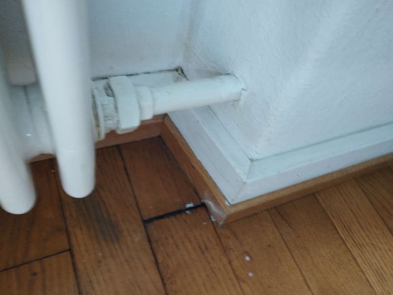 Neben der Heizungsleitung in Bretzwil zeigen sich einzelne Ameisen am Boden, was auf einen moeglichen Befall hindeutet und den Einsatz eines Kammerjaegers erforderlich machen kann.